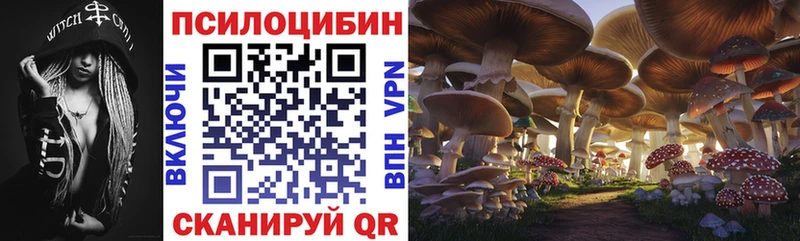 MEGA как зайти  Верхний Тагил  Псилоцибиновые грибы Psilocybine cubensis 